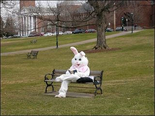 Easter bunny